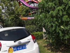 -苏州乐园森林水世界