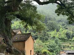 -杨家堂村