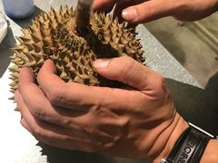 -都念榴莲·城市榴莲