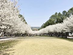 -同济大学(嘉定校区)