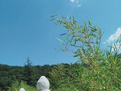 -里口山风景名胜区