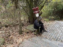 -紫金山山顶公园