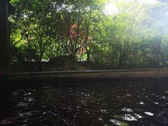 -杭州第一世界大酒店·云曼温泉