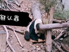 -红山森林动物园