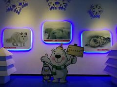-泉城欧乐堡海洋极地世界