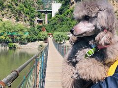 -十渡东湖港风景区