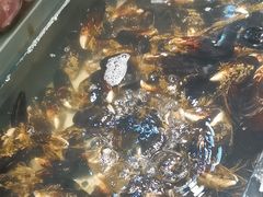 -遇上西雅图多融合海鲜自助餐厅(中房金谊广场店)