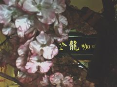 -金龙咖喱