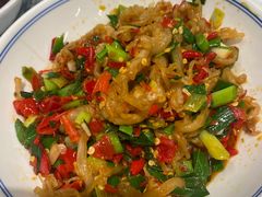 鸭掌筋-壹盏灯(蚂蚁工房店)