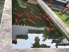 -不倒翁·徽天下名菜楼(马鞍山路店)