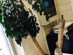 -泰康食品有限公司食品厂