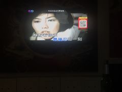-金青果甄选KTV(劳动公园店)