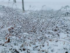 -北运河水利风景区