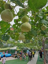 -萌宠亲子动物乐园(槐房万达店)