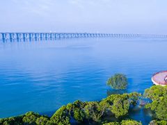 -宝安西湾红树林湿地公园