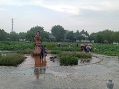 -白洋淀景区