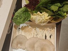 -蝎王府羊蝎子(北大地店)