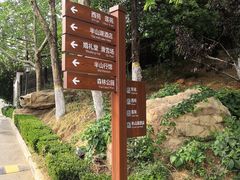 -静之湖湖畔餐厅