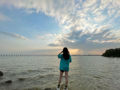 -宝安西湾红树林湿地公园