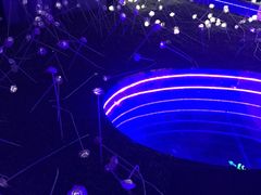 -郑州梵高星空错觉艺术馆(大上海城旗舰店)