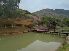 -宝岩生态观光园