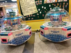 -思诺卡儿童俱乐部(东方广场店)