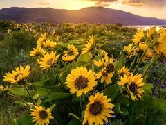 -优衣库(上海正大广场店)