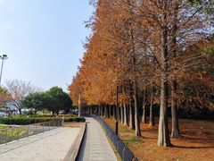 -石湖景区