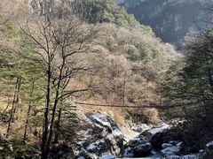 -青峰峡国家森林公园