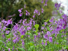 -南山风景名胜区