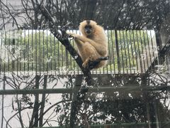 -宁波野生动物园