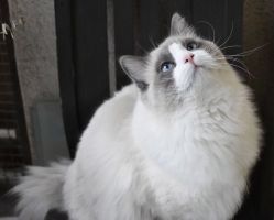 -咪咪专业脱毛连锁机构