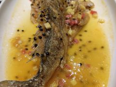 石斑鱼-琼菜王(南海店)