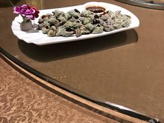 -豐柏轩食府