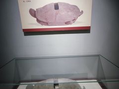-岳阳市博物馆