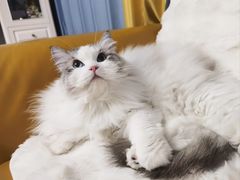 -美联众合24小时·皮肤科·外科·全科诊疗中心(华苑分院)