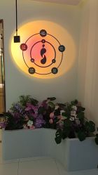 -头道汤头疗养生馆