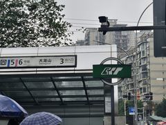 -大龙山(地铁站)