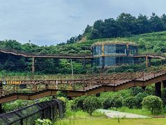 -太湖龙之梦