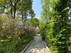 -南汇桃花村