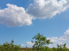 -光明小镇欢乐田园