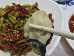 -小海丁