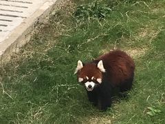 -南京金牛湖风景区