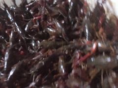 -白沙洲农产品大市场海鲜交易区