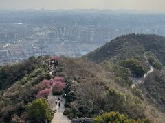 -杭州半山国家森林公园