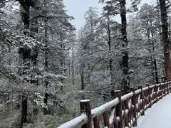 -瓦屋山景区