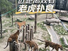 -上海野生动物园