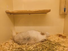 -龙猫仔乐园(惠福东路店)