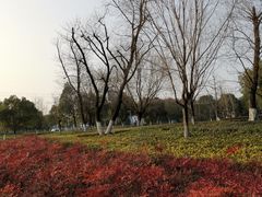 -九里河湿地公园