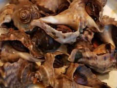 卤海螺-朝馆·市井本味菜